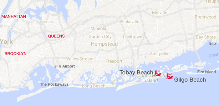 Kiteboarding spots around Jones Beach Island: Gilgo and Tobay Beaches