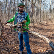 Wolfe’s Pond Park MTB trail