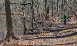 Staten Island MTB trail