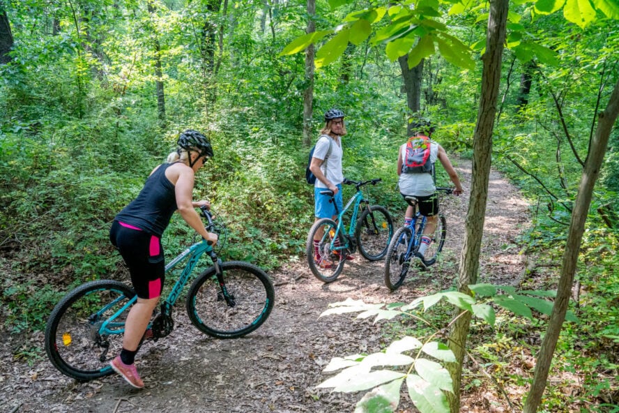 A MTB crew cycling in the Cunningham Park.