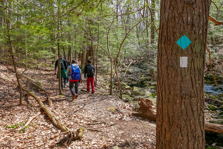 Black Rock State Park hiking