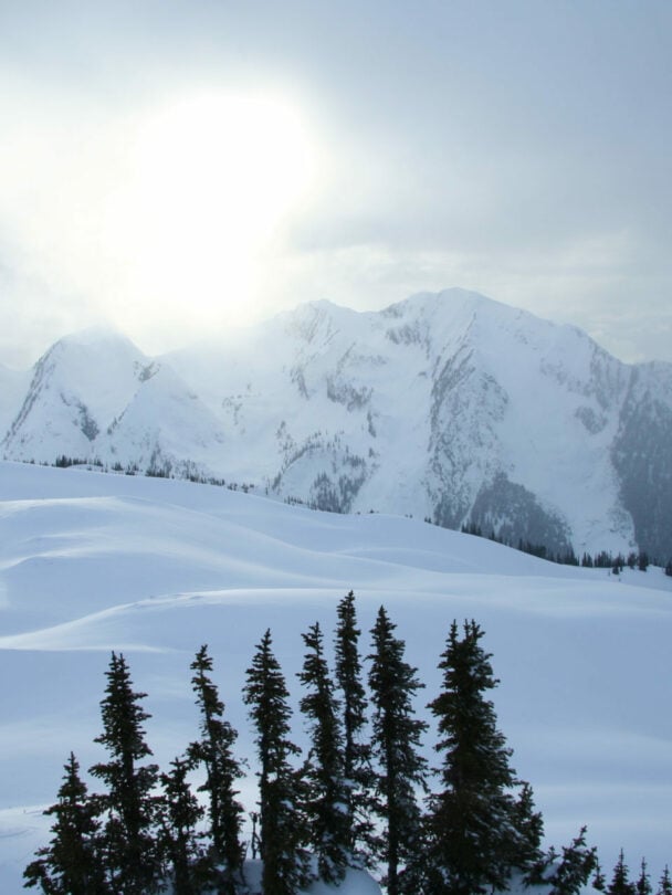 backcountry skiing selkirks