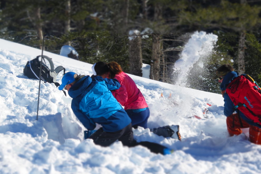 aiaire avalanche rescue