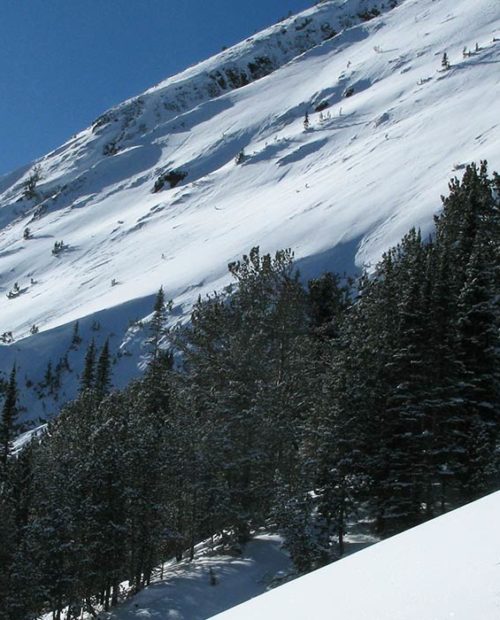 AIARE Avalanche Level 1 Course in Cooke City