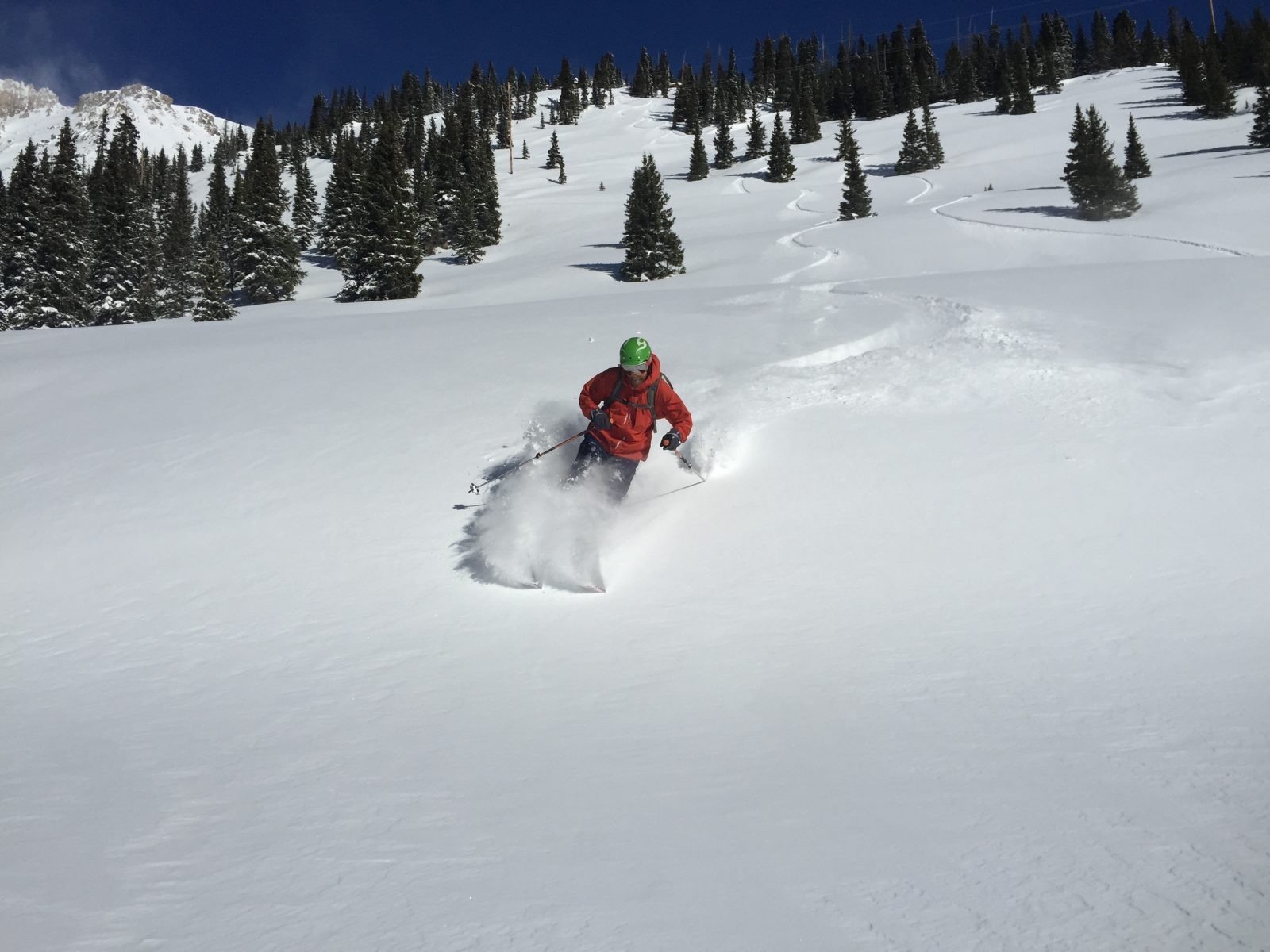 Monarch Pass is a great spot for beginner and intermediate backcountry skiers, with wel-spaced trees and steep bowls.