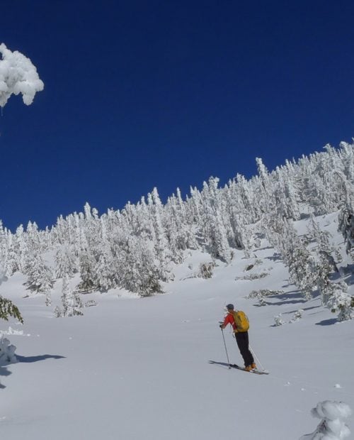 Backcountry Skiing in Mammoth Lakes