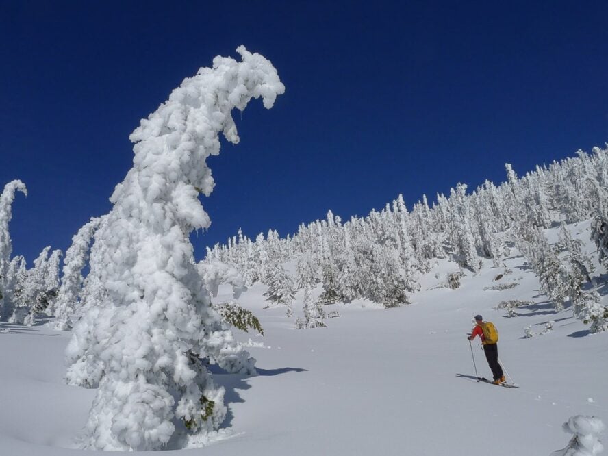 Should You Worry About Ski and Snowboard Theft? - ASO Mammoth