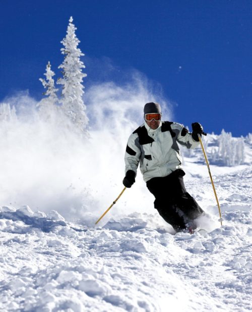 Backcountry Skiing in Alta and Snowbird