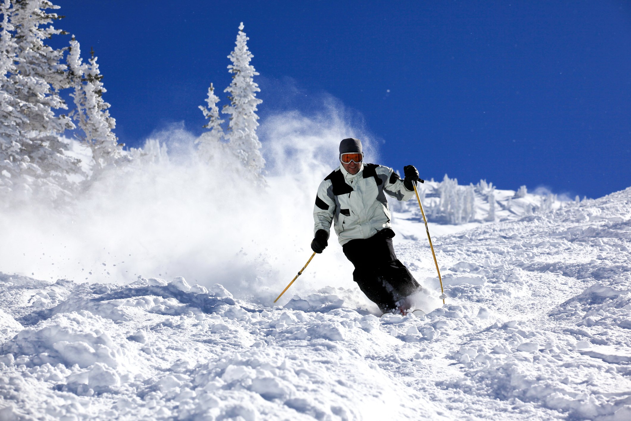 Guided Backcountry Skiing in Alta/Snowbird, UT