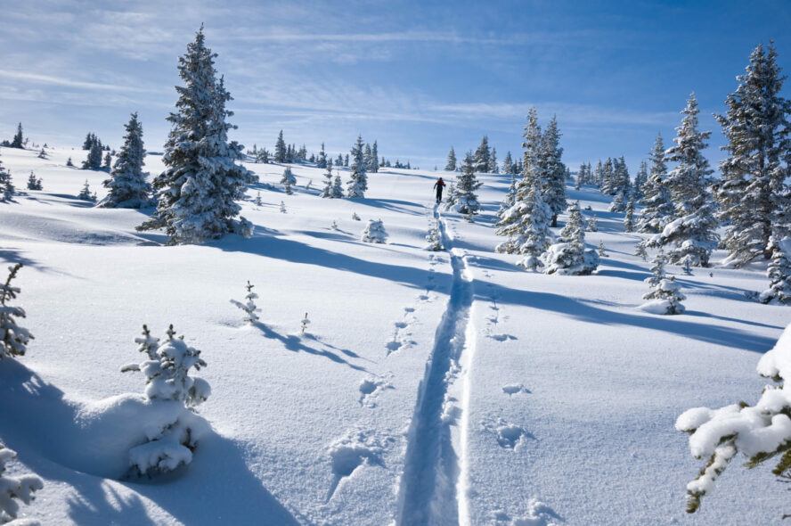 snow in colorado backcountry