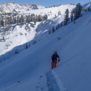 First Mammoth Tracks