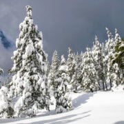 Stunning scenery and over 7000ft of snowy descents await on Mount Shasta