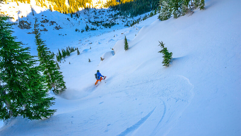 Fresh pow pow powder