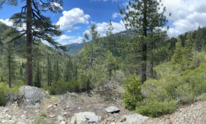 Downieville MTB