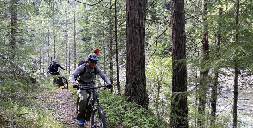 Downieville MTB