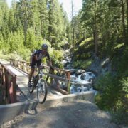 Downieville MTB