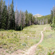 A mountain bike trail cutting through the forest around Breckenridge.