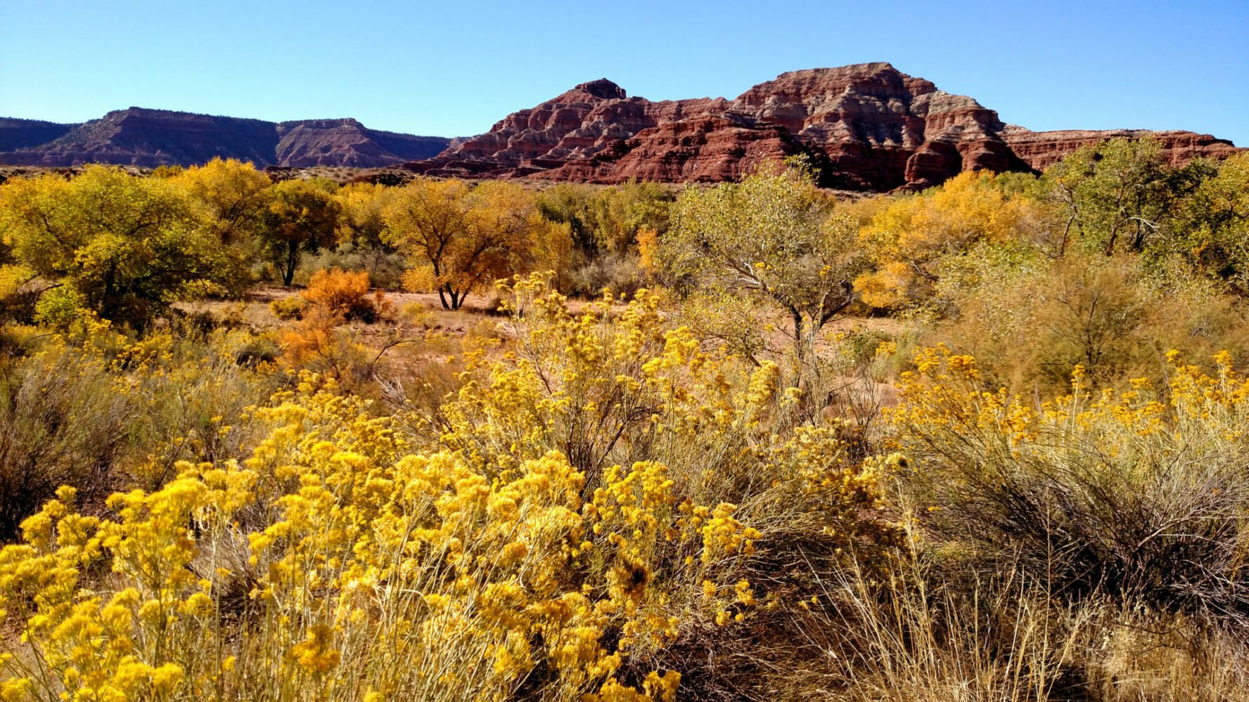 mountain bike tours salt lake city