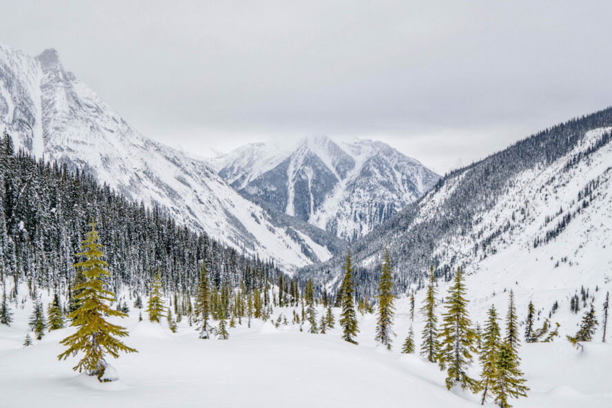 Epic snow shot at Rogers Pass