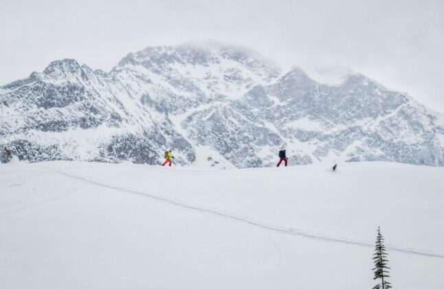 Backcountry at Rogers Pass