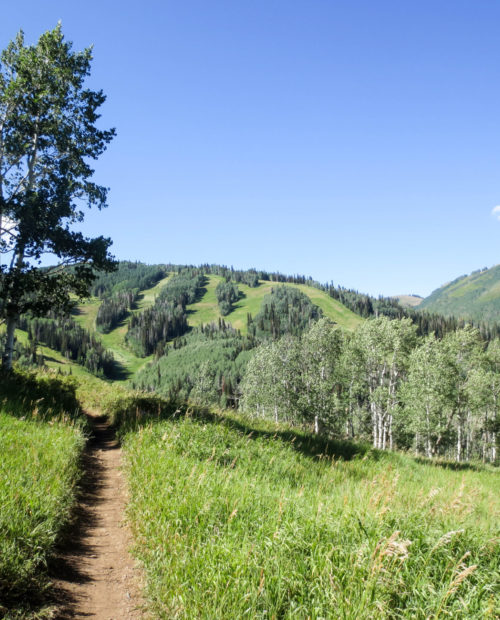 Mountain Biking Tours in St. George, UT | 57hours