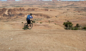 Slickrock mountain biking trail