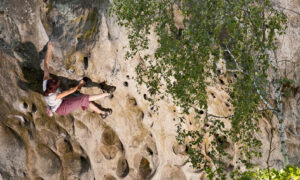 Man climbing rock face in Fontainbleau