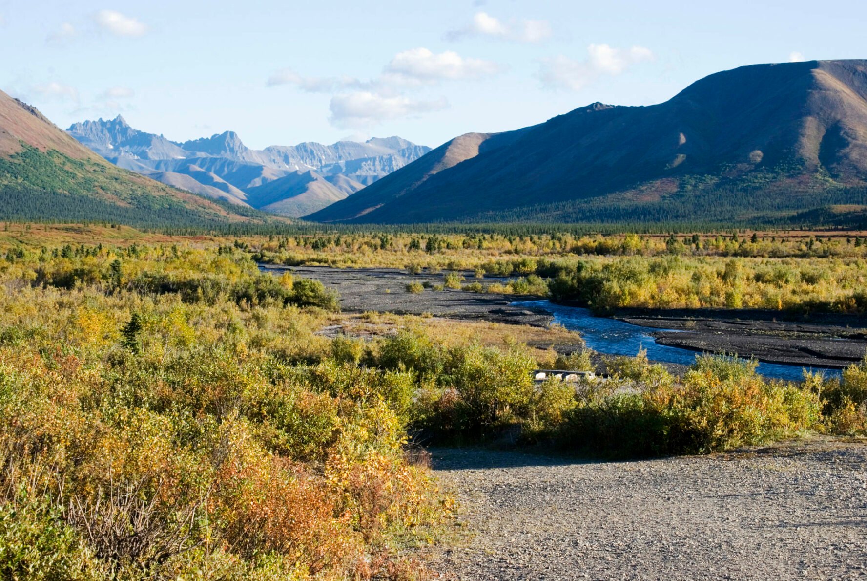 Denali National Park