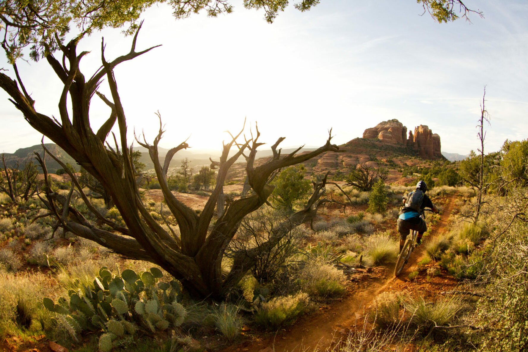 Sedona sunset and singletrack