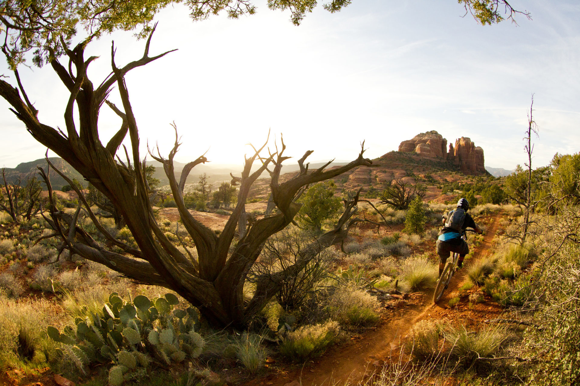 Sedona sunset and singletrack