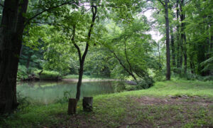 hiking at Laurel Highlands