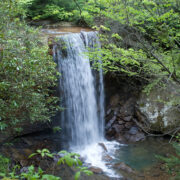 Laurel Highlands