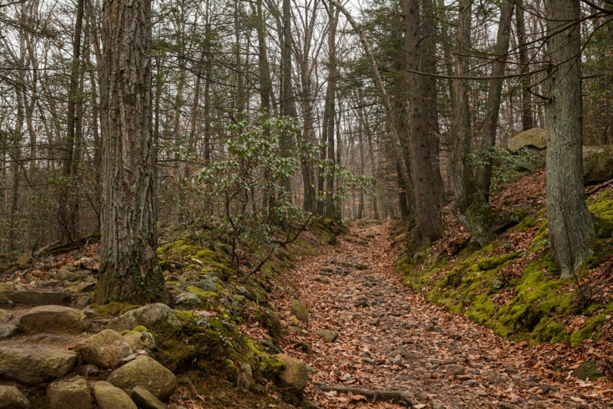 hiking trail in bear mountain state park