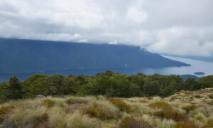 Kepler Track