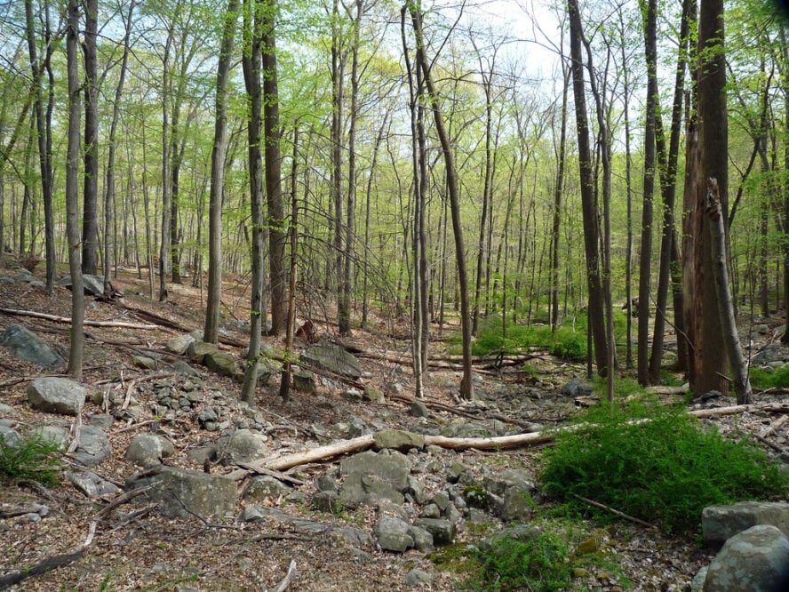 Bear Mountain Park hiking trails