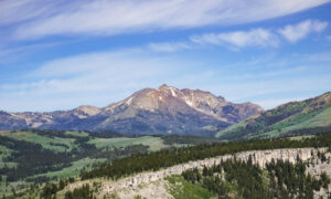 A lovely canyon near the Mammoth Hot Springs.