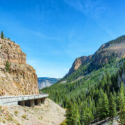 Bunsen Peak overlooking the pine woods of Yellowstone.