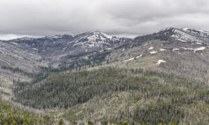 Snow-capped Mount Washburn overlooks the Dunraven Pass of Yellowstone.