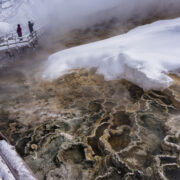 Minerva Terraces are the highlight of Yellowstone’s Mammoth Hot Springs area.