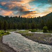 Pebble creek in Lamar Valley Yellowstone