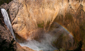 The view of the Grand Canyon of Yellowstone below the Lower Falls.