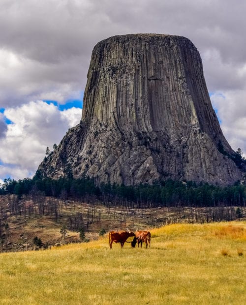 Rock Climbing at Devils Tower