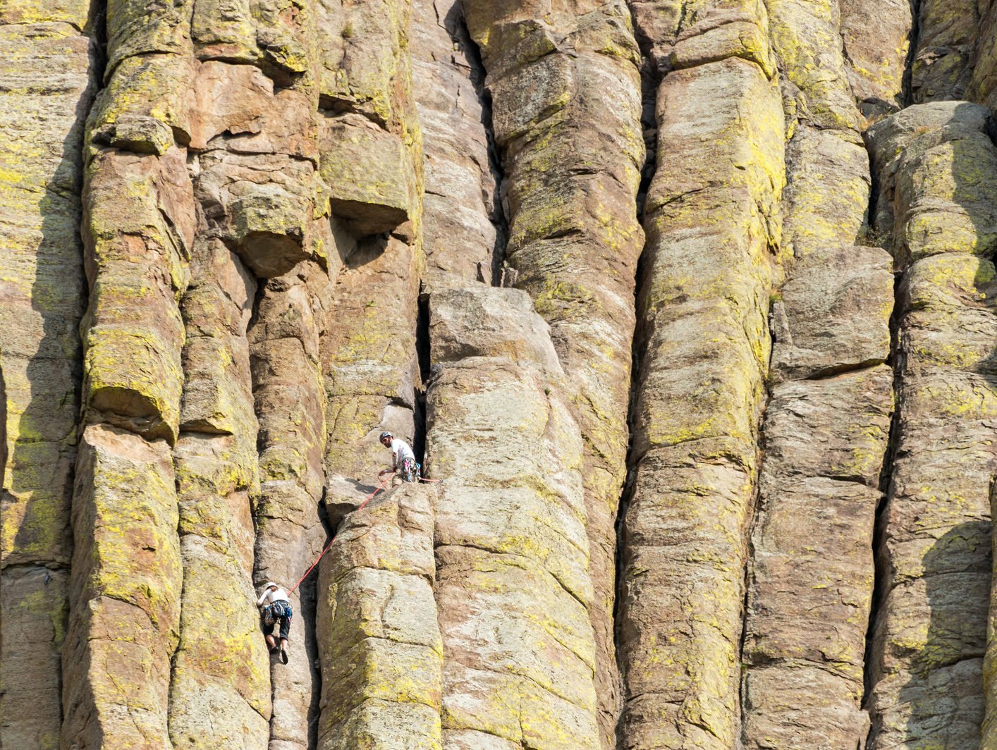 Devils Tower Ladder