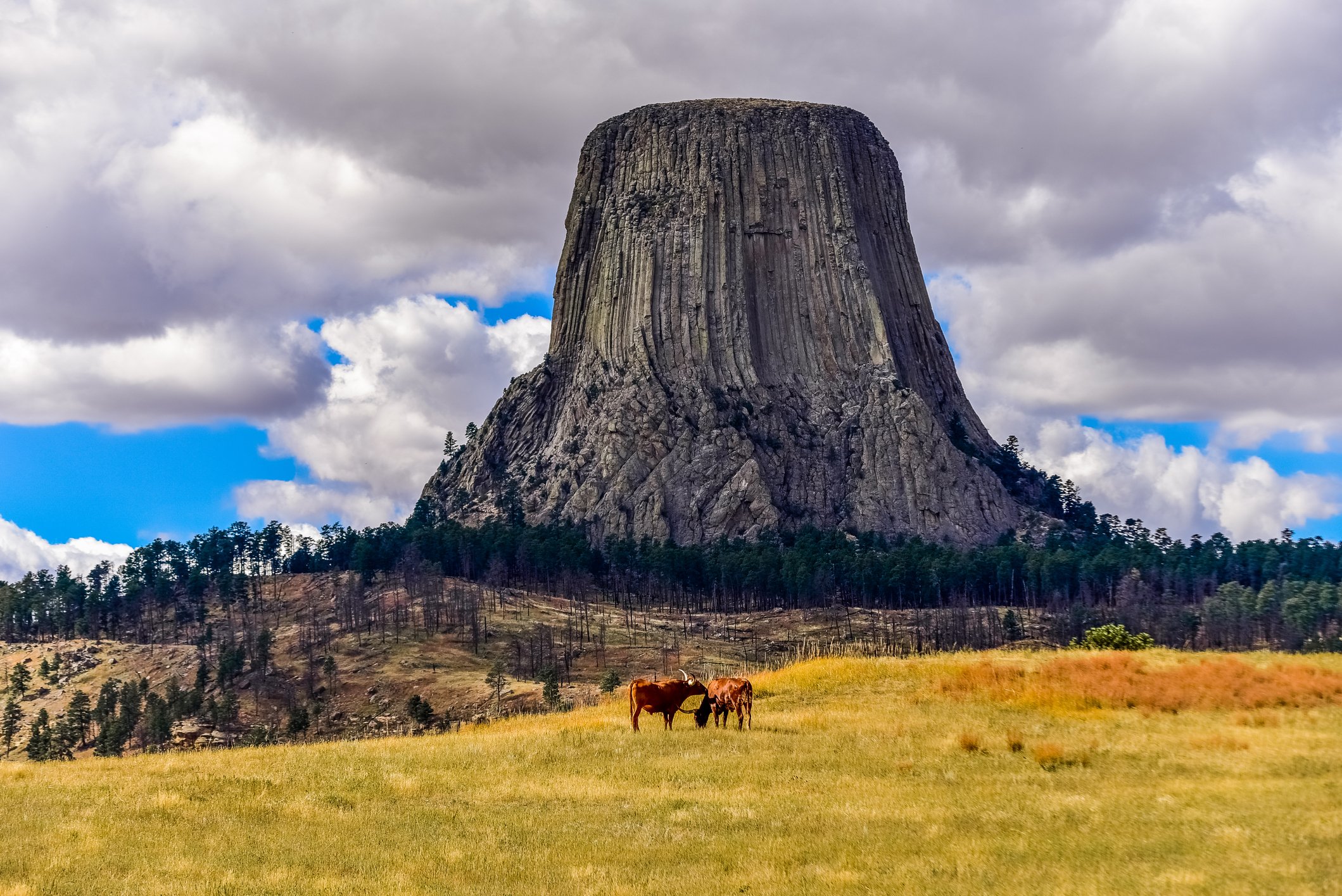 Devils Tower National Monument Climbing Handbook