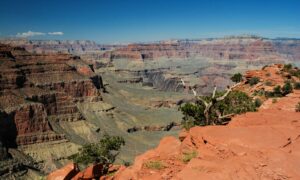 Amazing view over the Grand Canyon.