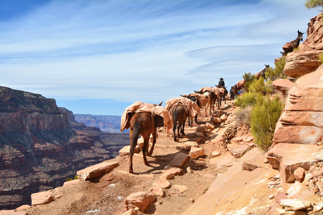 6 Grand Canyon Hiking Trails That Will Take Your Breath Away