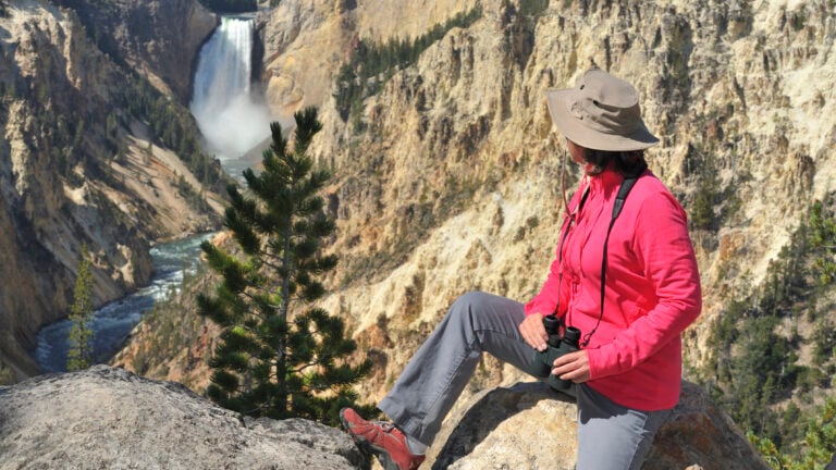 "Woman looking at Lower Falls at Yellowstone National Park, Wyoming, USA."
