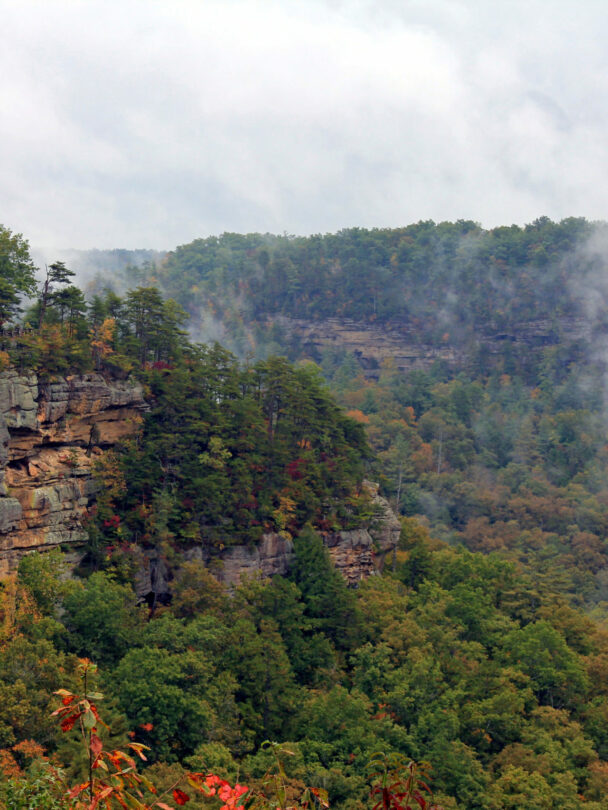 Red River Gorge climbing