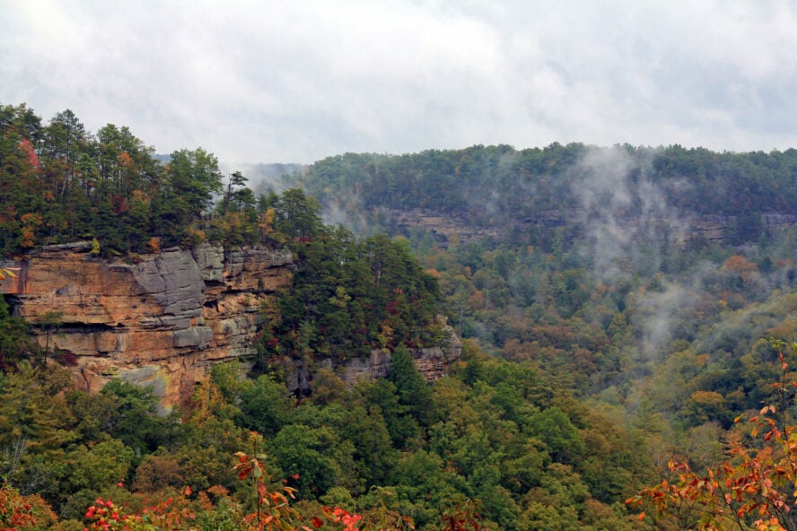 Swift Creek Camp Overlook 