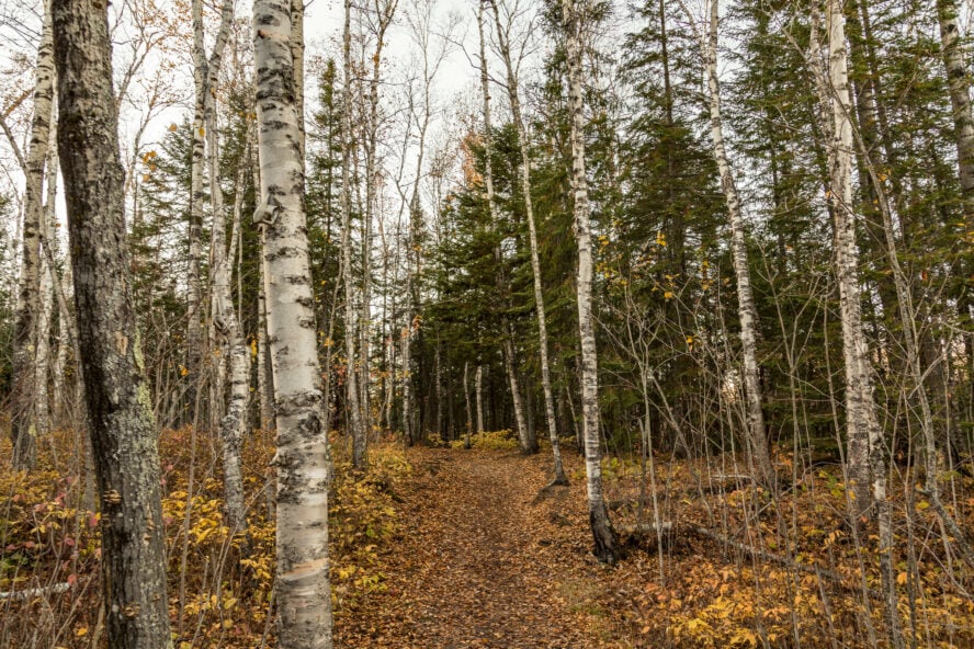 Tettegouche State Park